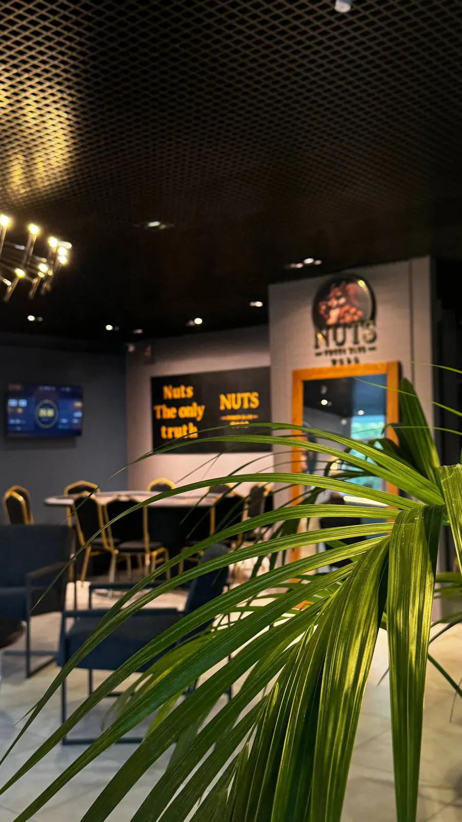 Фотография клуба Nuts Club